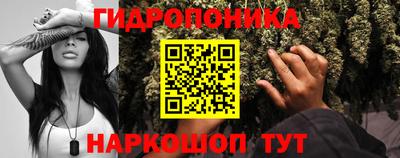 гашиш Кингисепп