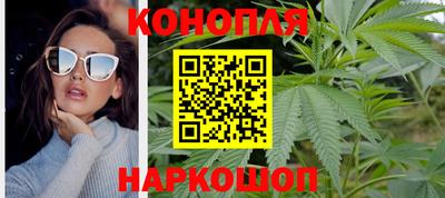 гашиш Кингисепп