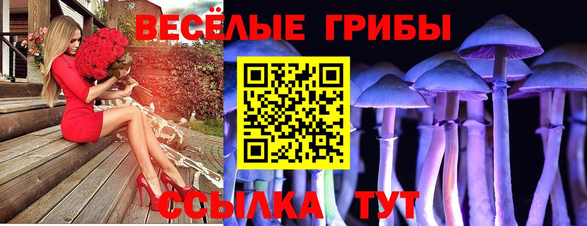 Костомукша  Галлюциногенные грибы мицелий  Вход с VPN 